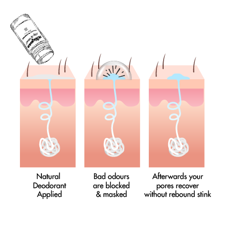 diagram of how milkman&#39;s natural deodorant works